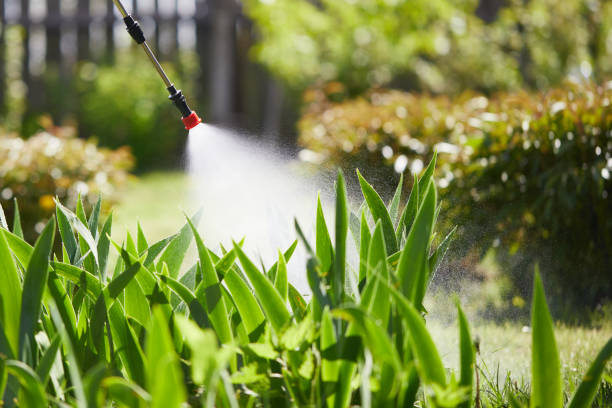 24/7 Emergency Cockroach Control experts in Federal Way, WA